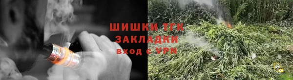 стаф Елабуга