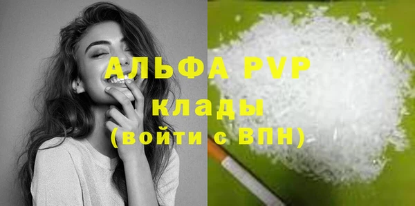 стаф Елабуга