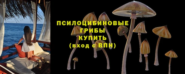 стаф Елабуга
