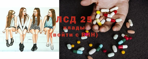молекула духа Шадринск