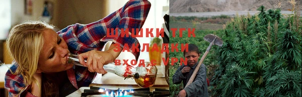 стаф Елабуга