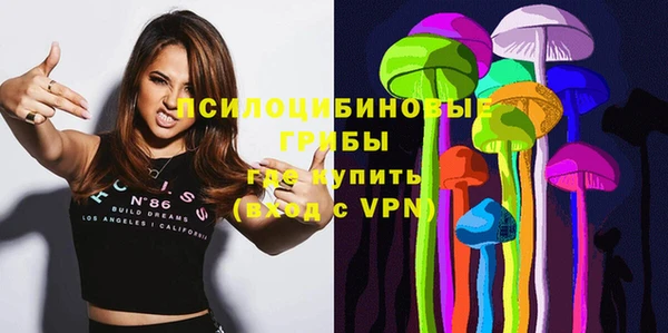 стаф Елабуга