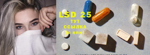 стаф Елабуга