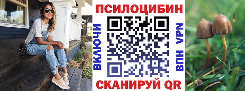 блэк спрут рабочий сайт Плёс Псилоцибиновые грибы MAGIC MUSHROOMS